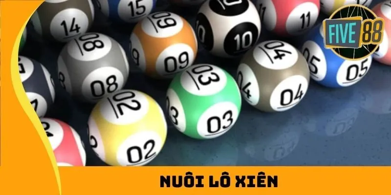 nuôi lô xiên